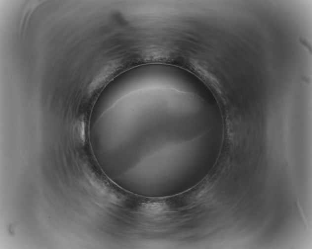 X0000102840067200808251205