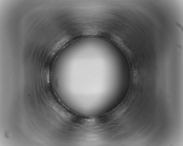 X0000102840068200808251205