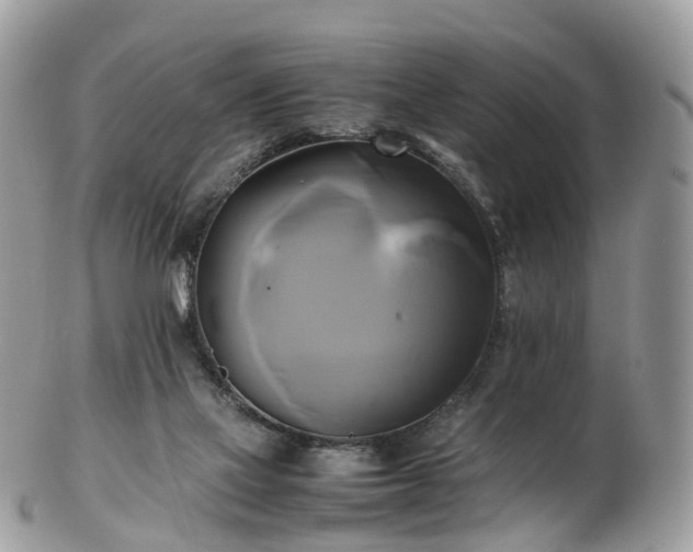 X0000102840069200808251205