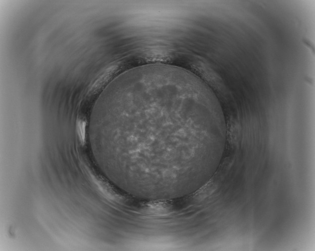 X0000102840070200808251205