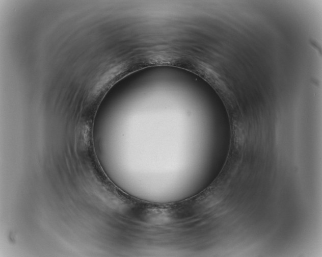 X0000102840071200808251205