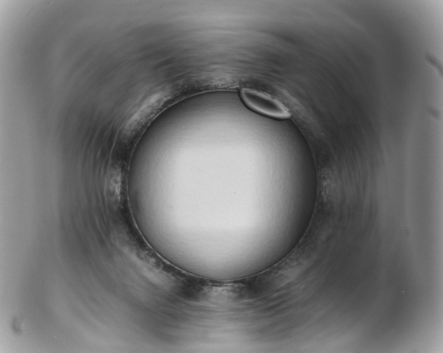 X0000102840072200808251205