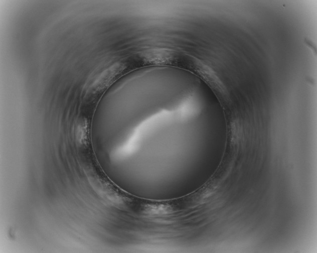 X0000102840073200808251205