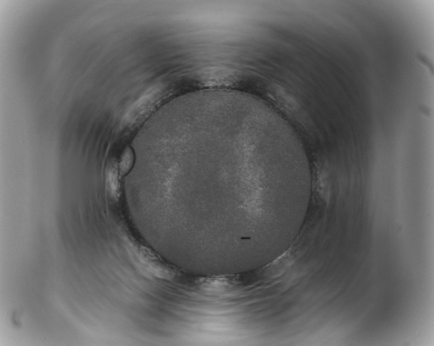 X0000102840074200808251205