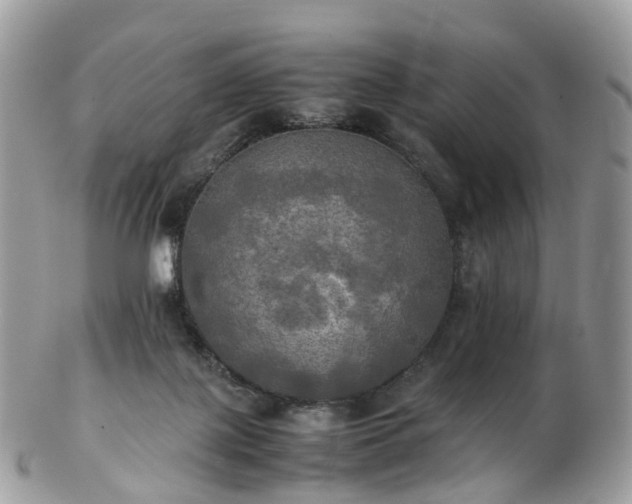 X0000102840075200808251205