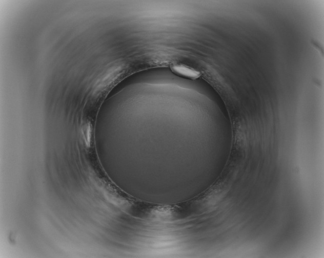 X0000102840076200808251205