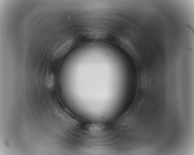 X0000102840077200808251205