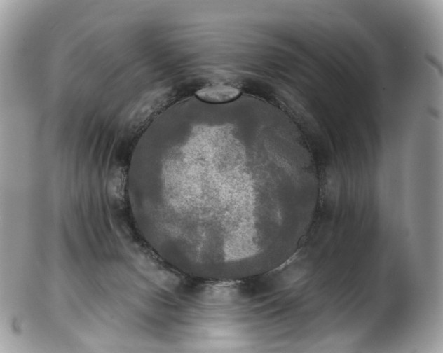 X0000102840078200808251205