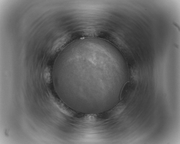 X0000102840080200808251205