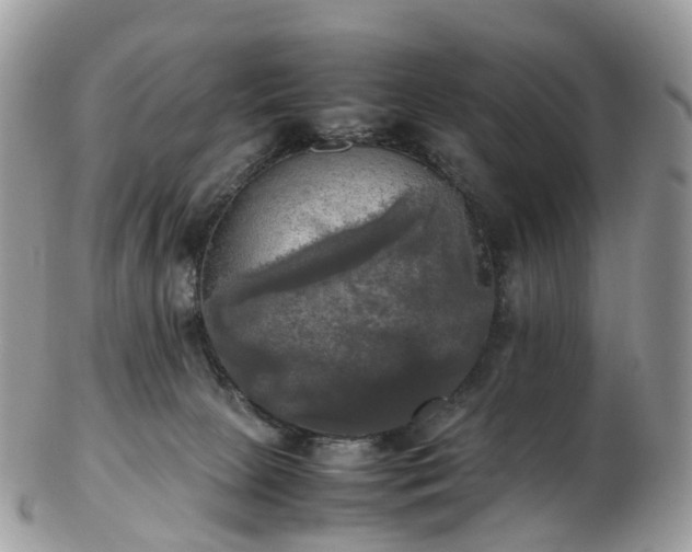 X0000102840081200808251205