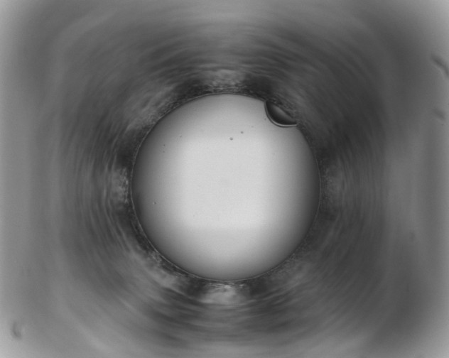 X0000102840083200808251205