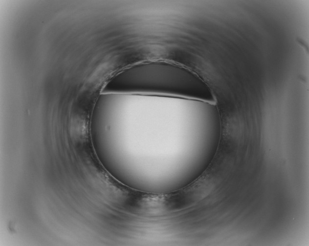 X0000102840084200808251205