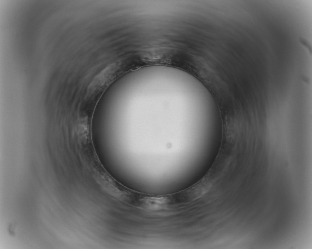 X0000102840085200808251205