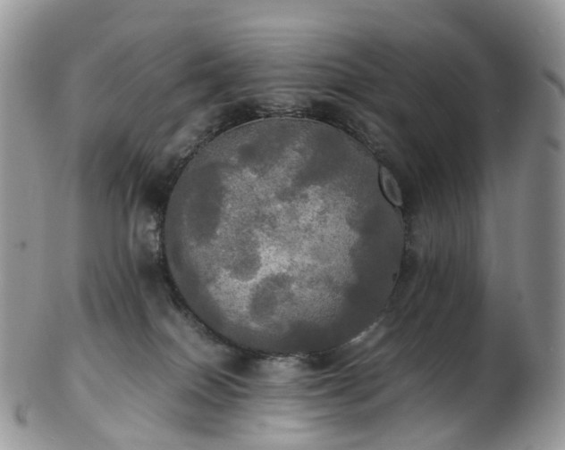 X0000102840086200808251205