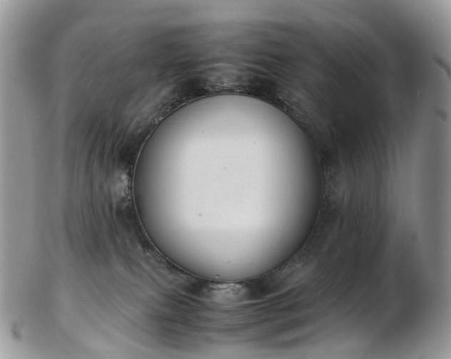 X0000102840087200808251205