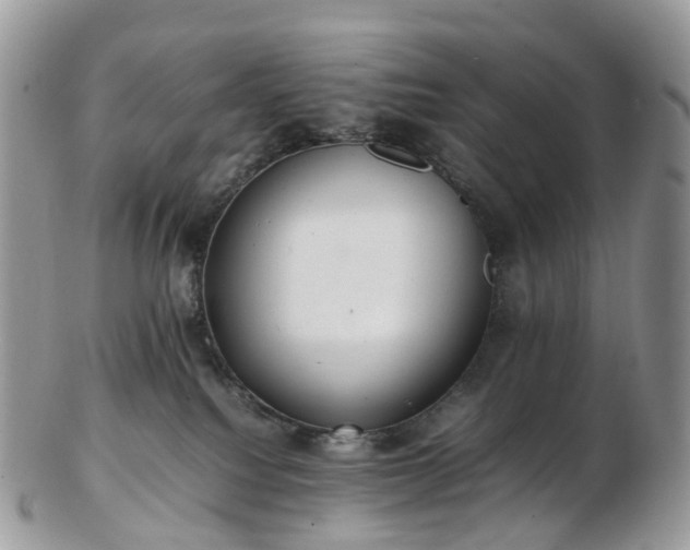 X0000102840088200808251205