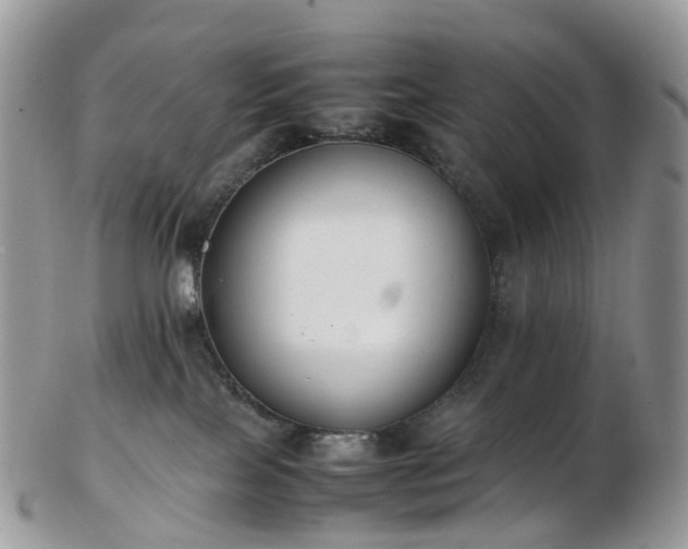 X0000102840089200808251205