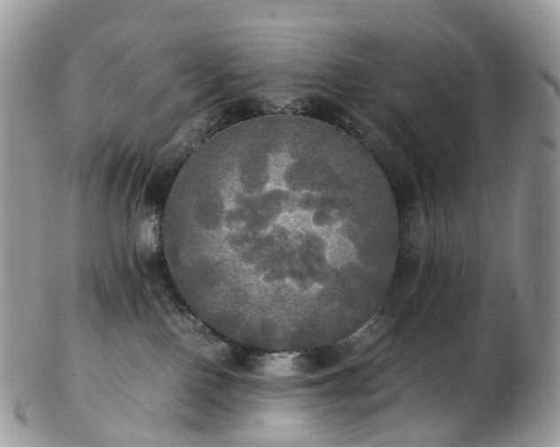 X0000102840090200808251205