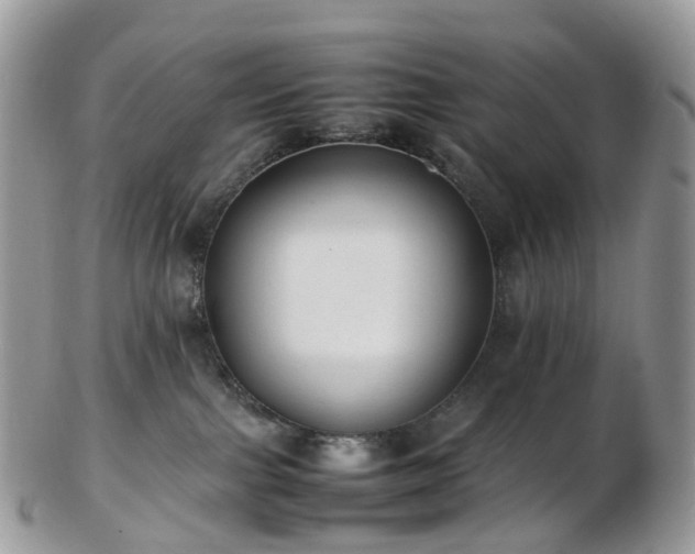 X0000102840091200808251205