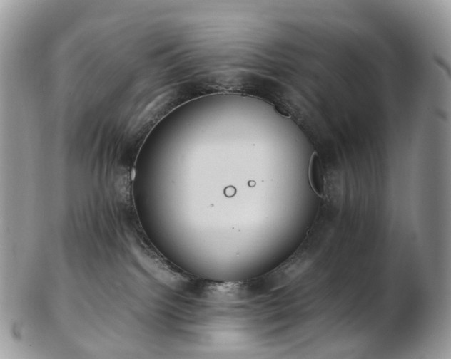 X0000102840092200808251205