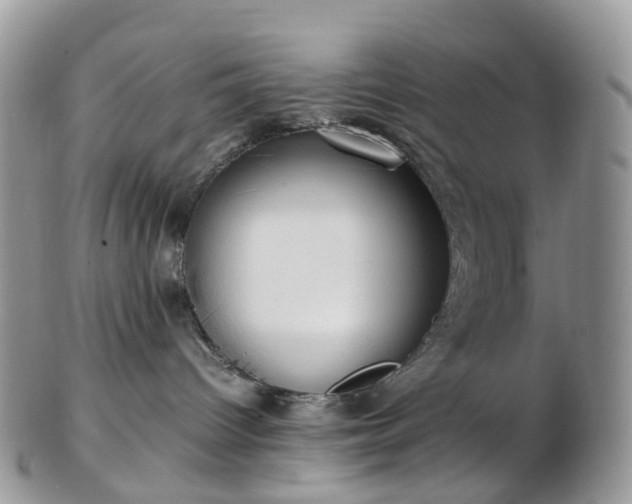 X0000102840096200808251206