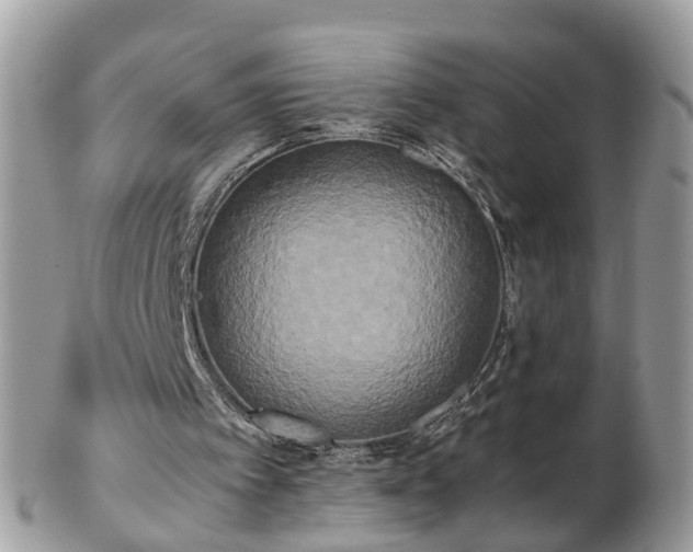 X0000102840097200808251205