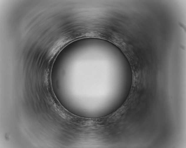 X0000102840098200808251205