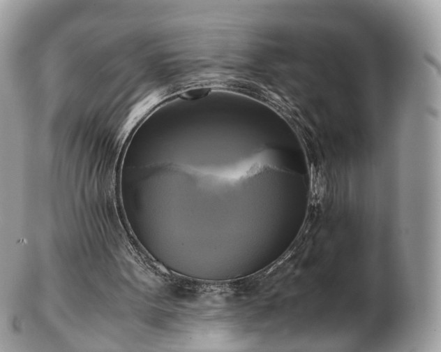 X0000102840099200808251205