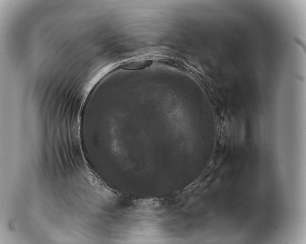 X0000102840100200808251205