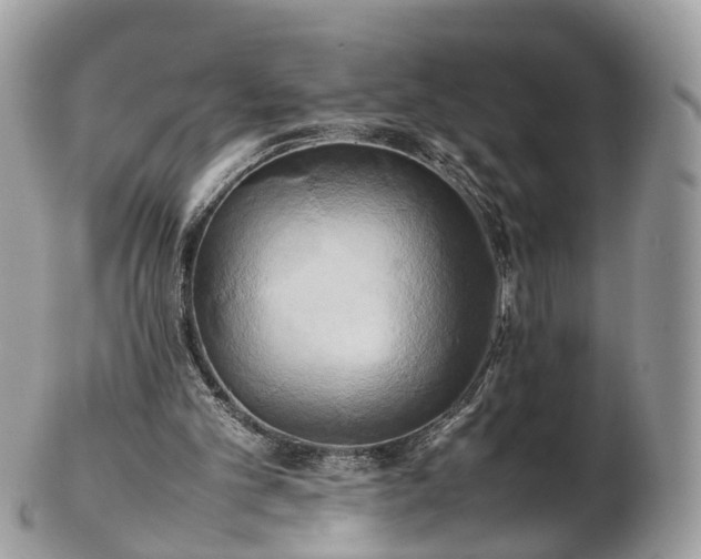 X0000102840101200808251205