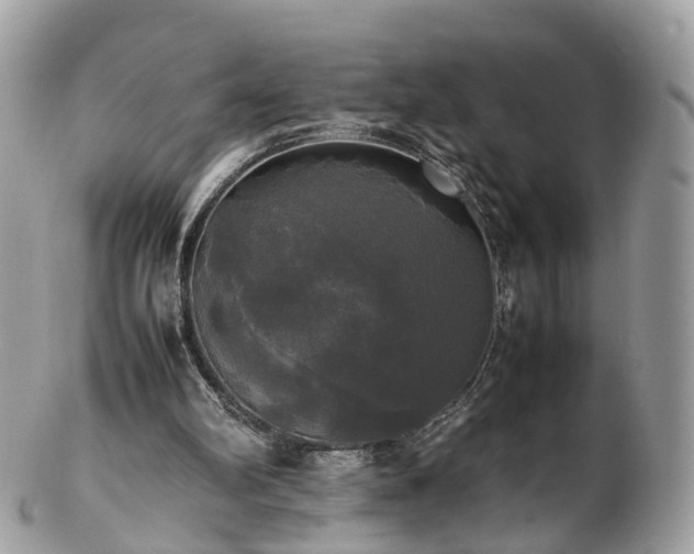 X0000102840102200808251205