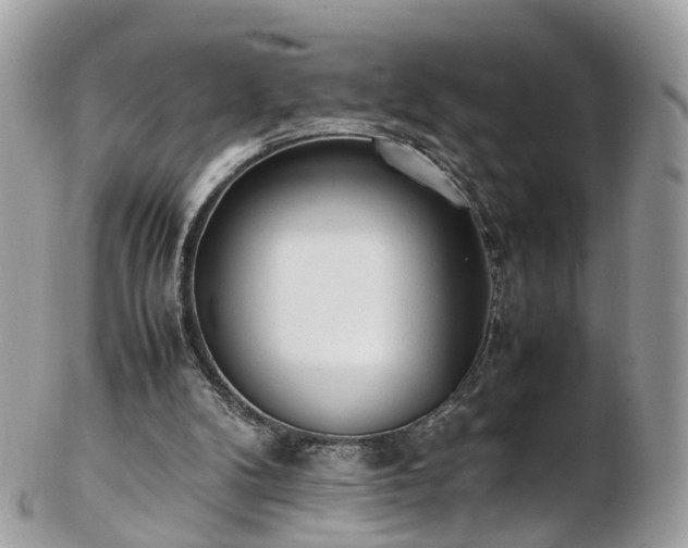 X0000102840104200808251205