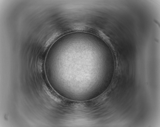 X0000102840106200808251205