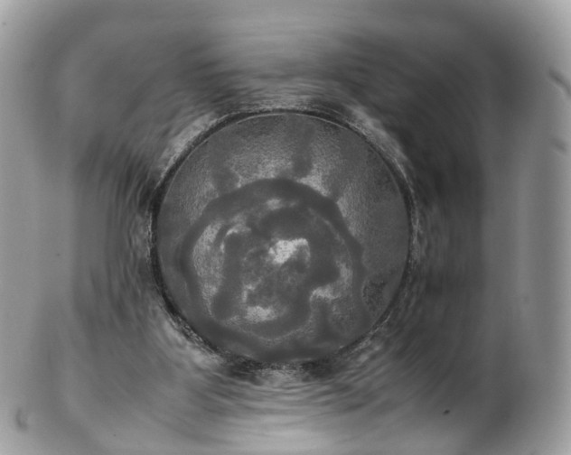 X0000102840107200808251205