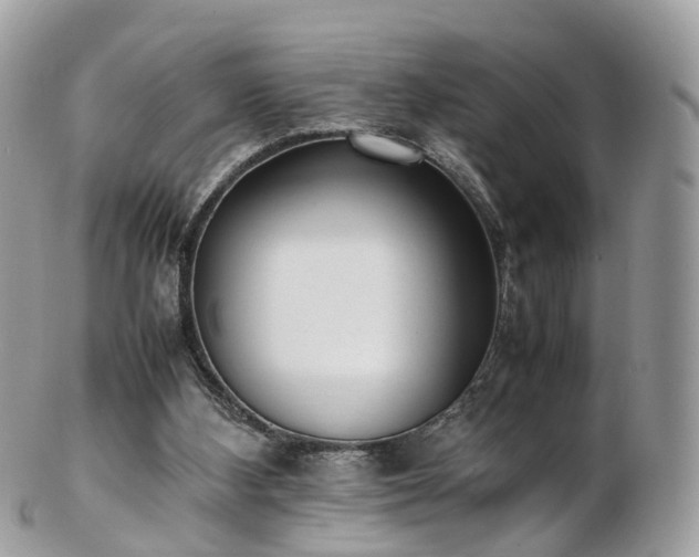 X0000102840108200808251205