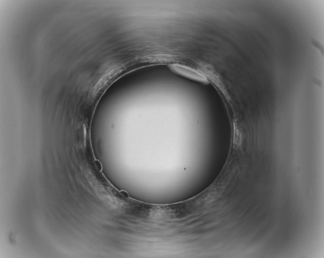 X0000102840109200808251205