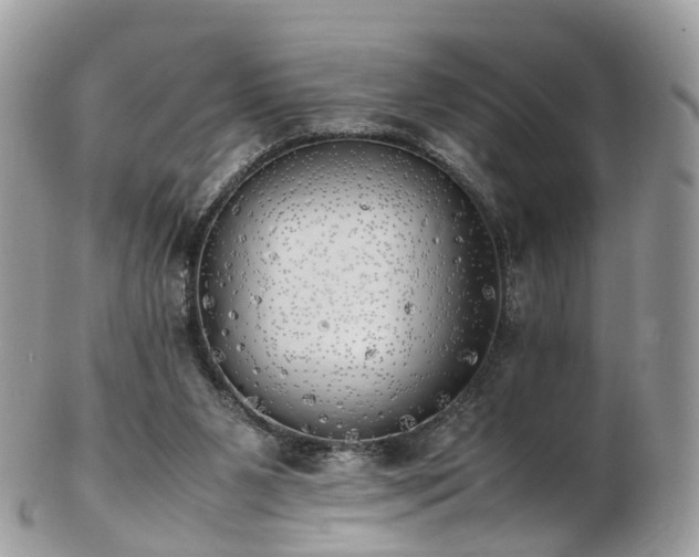 X0000102840111200808251205