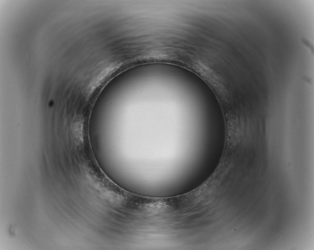 X0000102840112200808251205