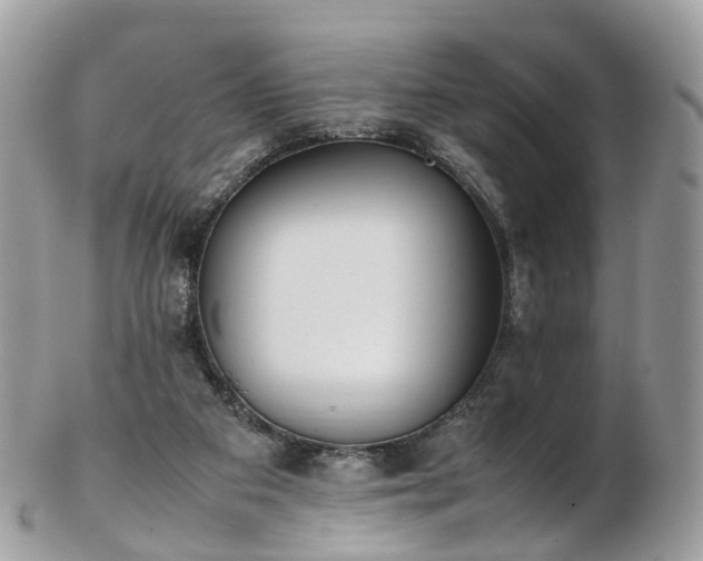 X0000102840113200808251205