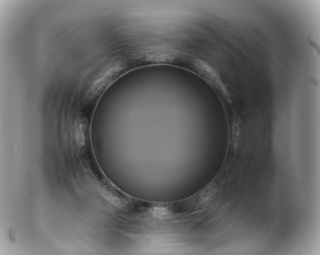 X0000102840114200808251205