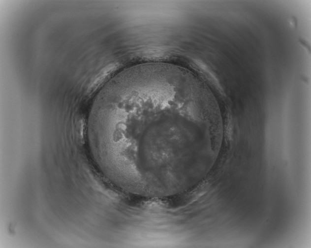 X0000102840115200808251205