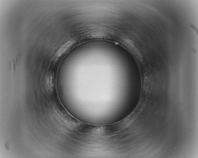 X0000102840116200808251205