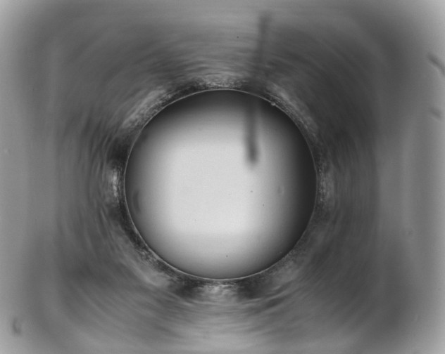 X0000102840117200808251205