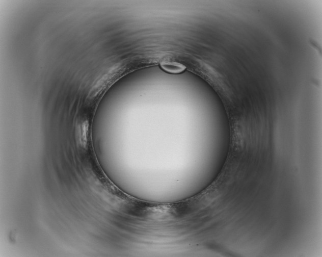 X0000102840118200808251205