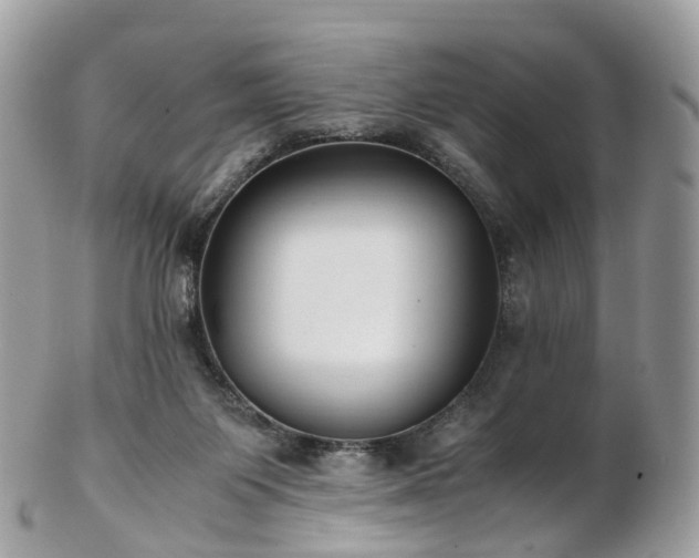 X0000102840119200808251205