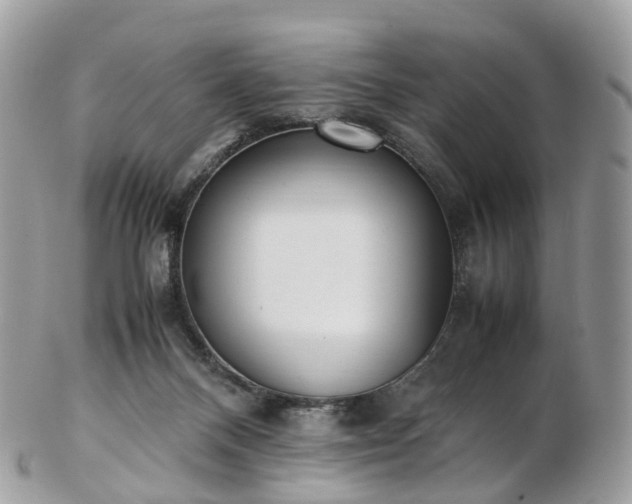 X0000102840120200808251204