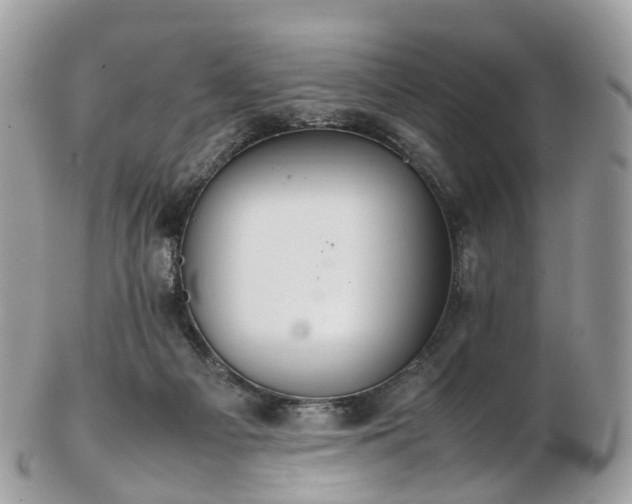 X0000102840121200808251204