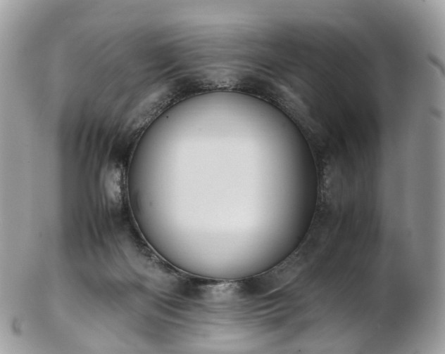 X0000102840122200808251204