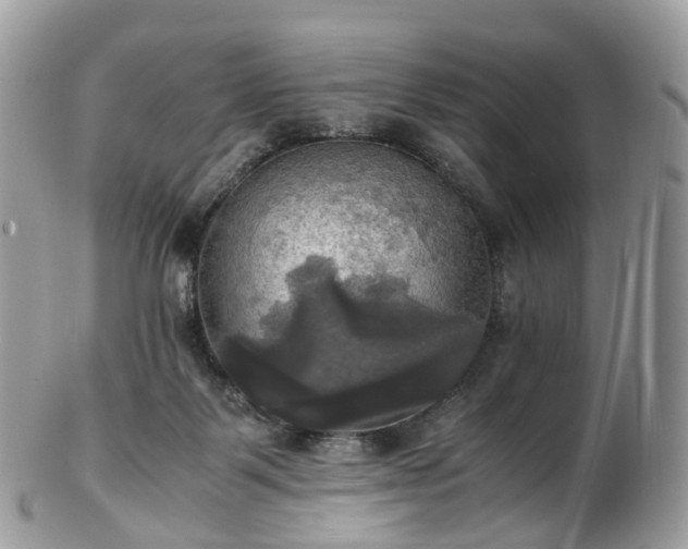 X0000102840123200808251204