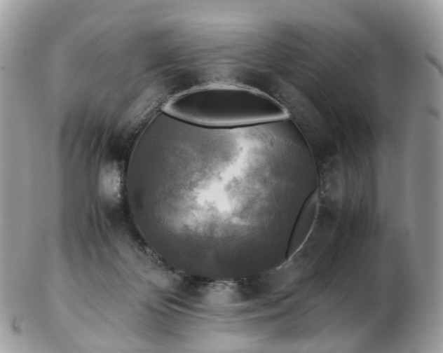 X0000102840124200808251204